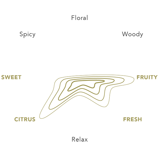 Promise Diffuser 100 ml