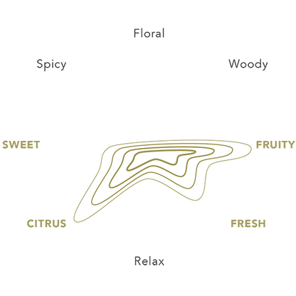 Promise Diffuser 100 ml